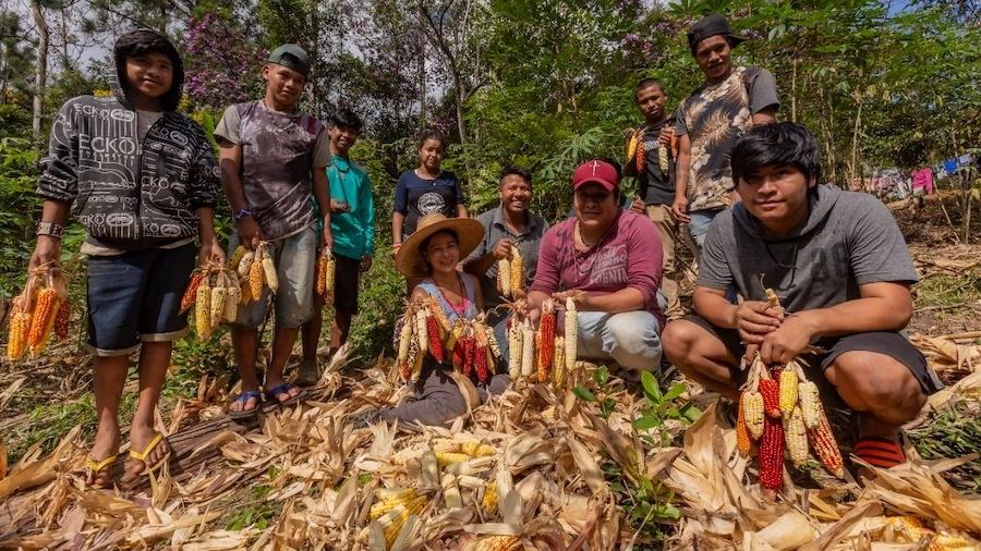 Indígenas guarani mbya pressionam por “cinturão verde” em SP