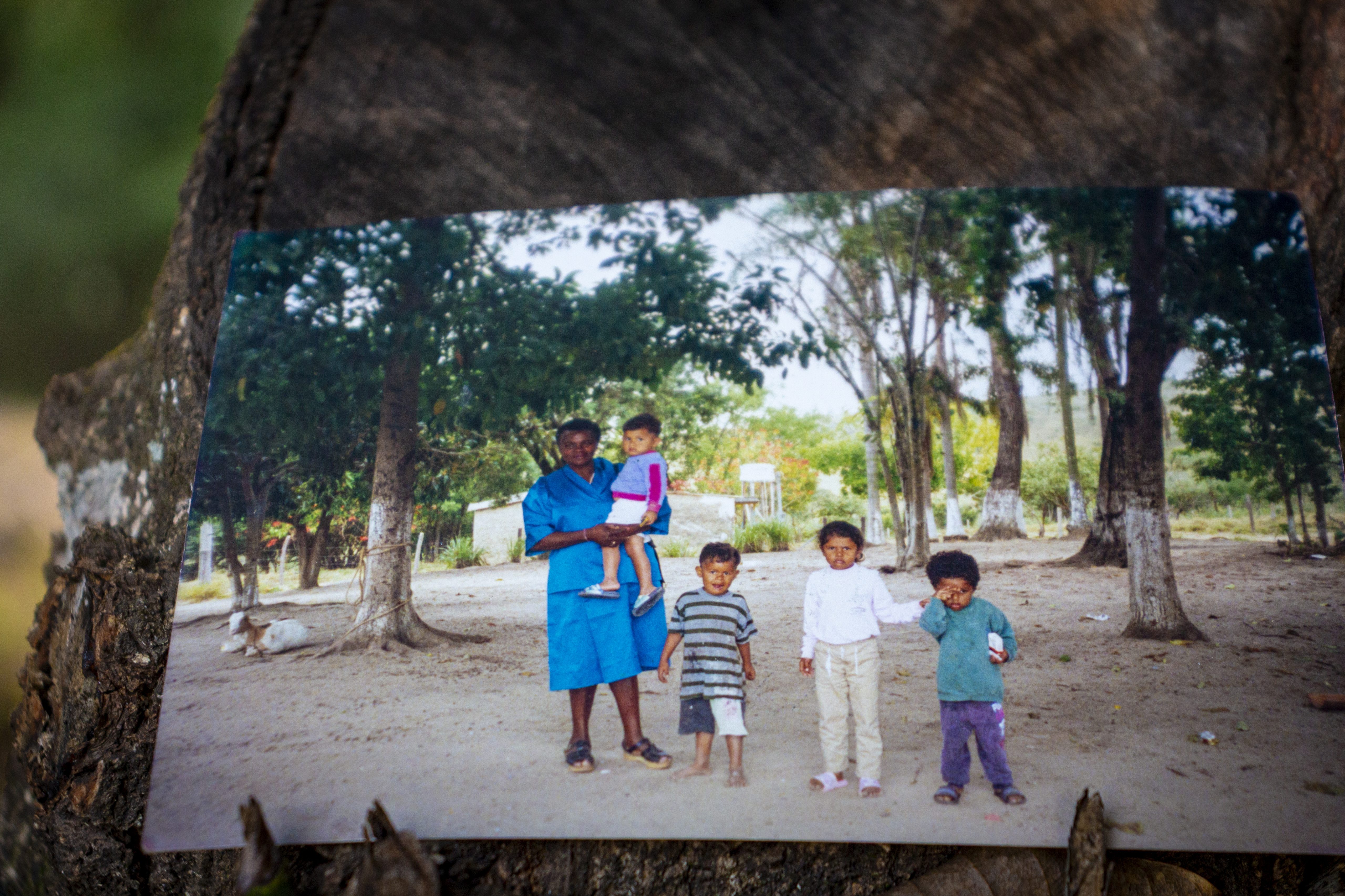 Foto do acervo pessoal das irmãs Luciana Rosa, Lucimara Rosa e Lucilene Rosa mostrando Dona Cida com quatro crianças, a foto está presa num tronco da árvore.  (Foto: Mapy Barbosa)