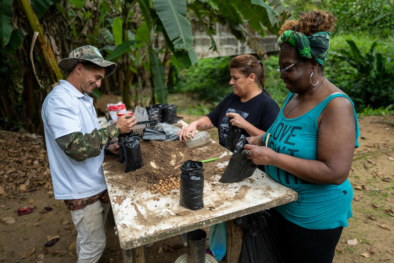 Trabalho voluntário na comunidade do Horto, Rio de Janeiro. (foto Lucas Landau / Greenpeace)