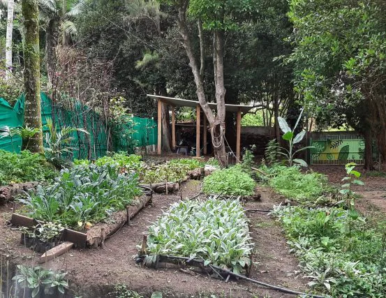 Horta do Quebrada Orgânica (divulgação)